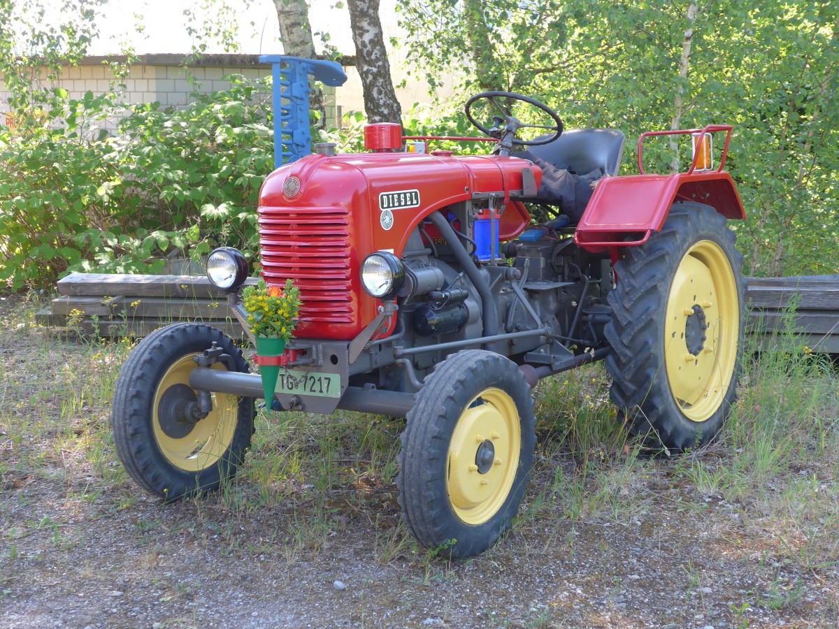 (161'791) - Steyr - TG 7217 - am 6. Juni 2015 in Thayngen, Saurertreffen