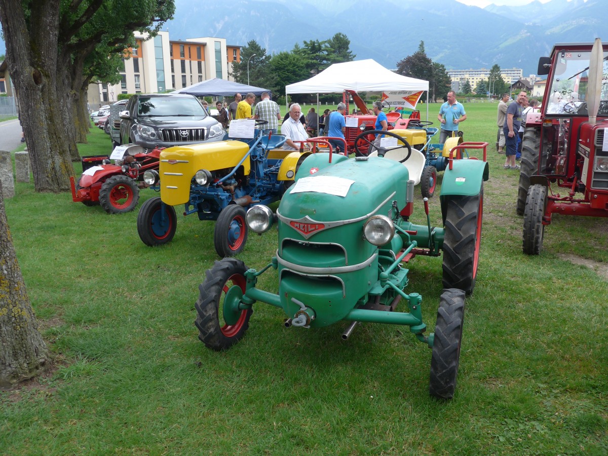 (162'316) - Meili am 20. Juni 2015 in Aigle, Saurertreffen