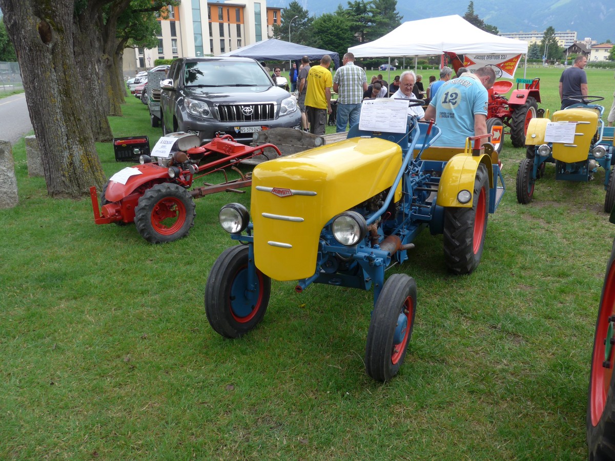(162'317) - Plumett am 20. Juni 2015 in Aigle, Saurertreffen
