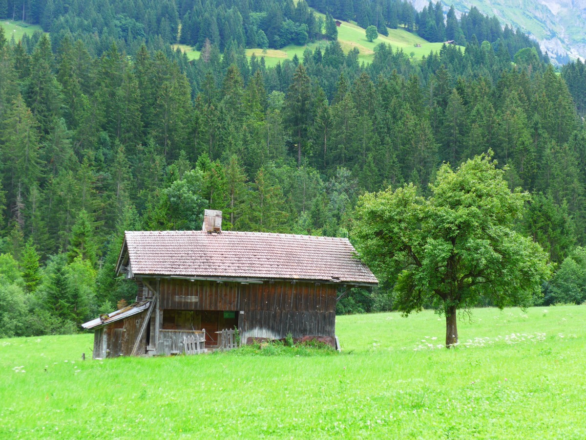 (163'168) - Altes H�uschen am 26. Juli 2015 in Adelboden, Neuweg