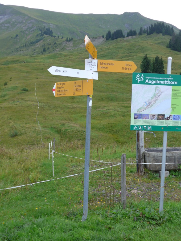 (163'753) - Wanderwegweiser am 23. August 2015 in Habkern, Lombachalp