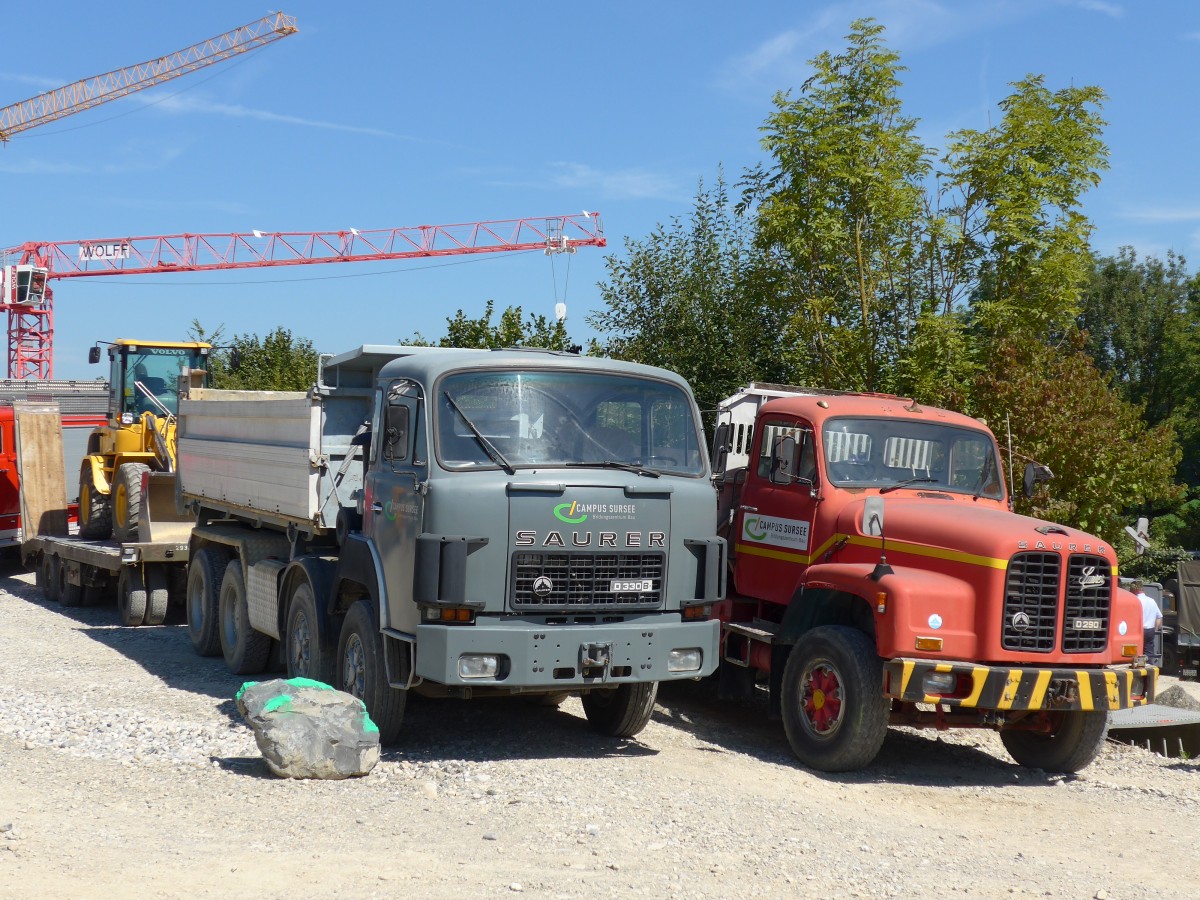 (164'093) - Campus Sursee, Oberkirch - Saurer am 29. August 2015 in Oberkirch, CAMPUS Sursee