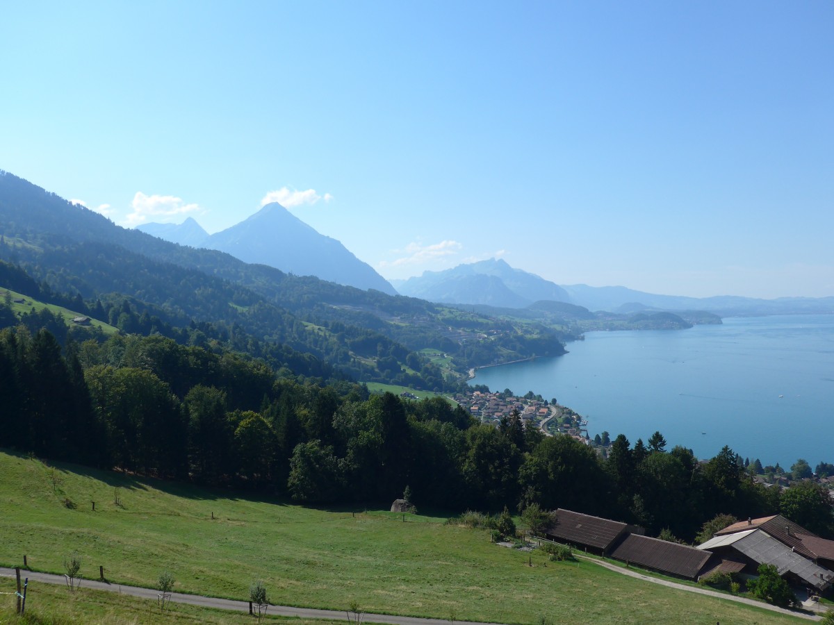 (164'286) - Der Niesen + Thunersee am 30. August 2015 von der Meielisalp ob Leissigen aus