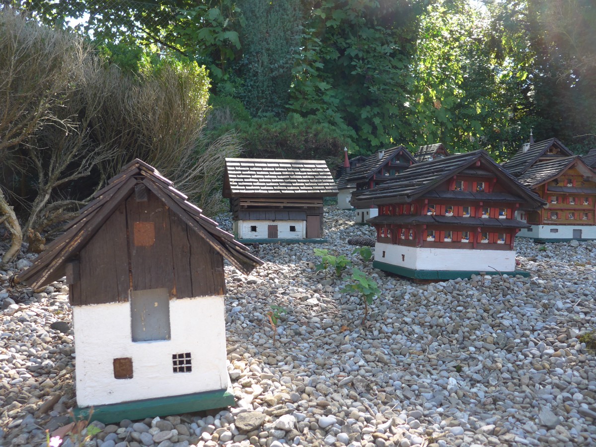 (164'293) - Goldau vor dem Felssturz 1806 im Model am 31. August 2015