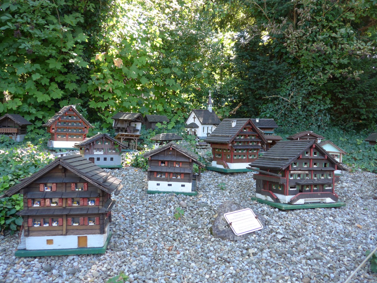 (164'295) - Goldau vor dem Felssturz 1806 im Model am 31. August 2015