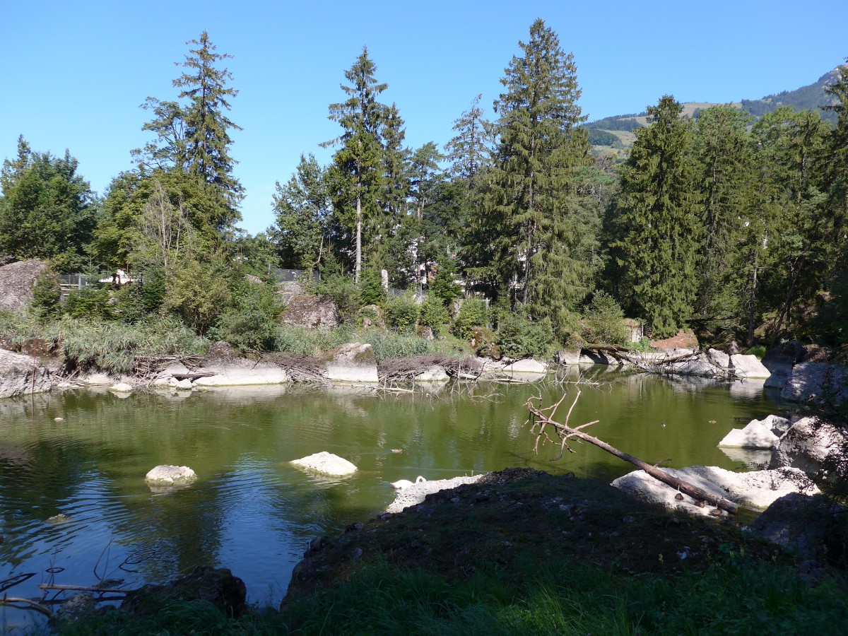 (164'302) - Im Tierpark Goldau am 31. August 2015