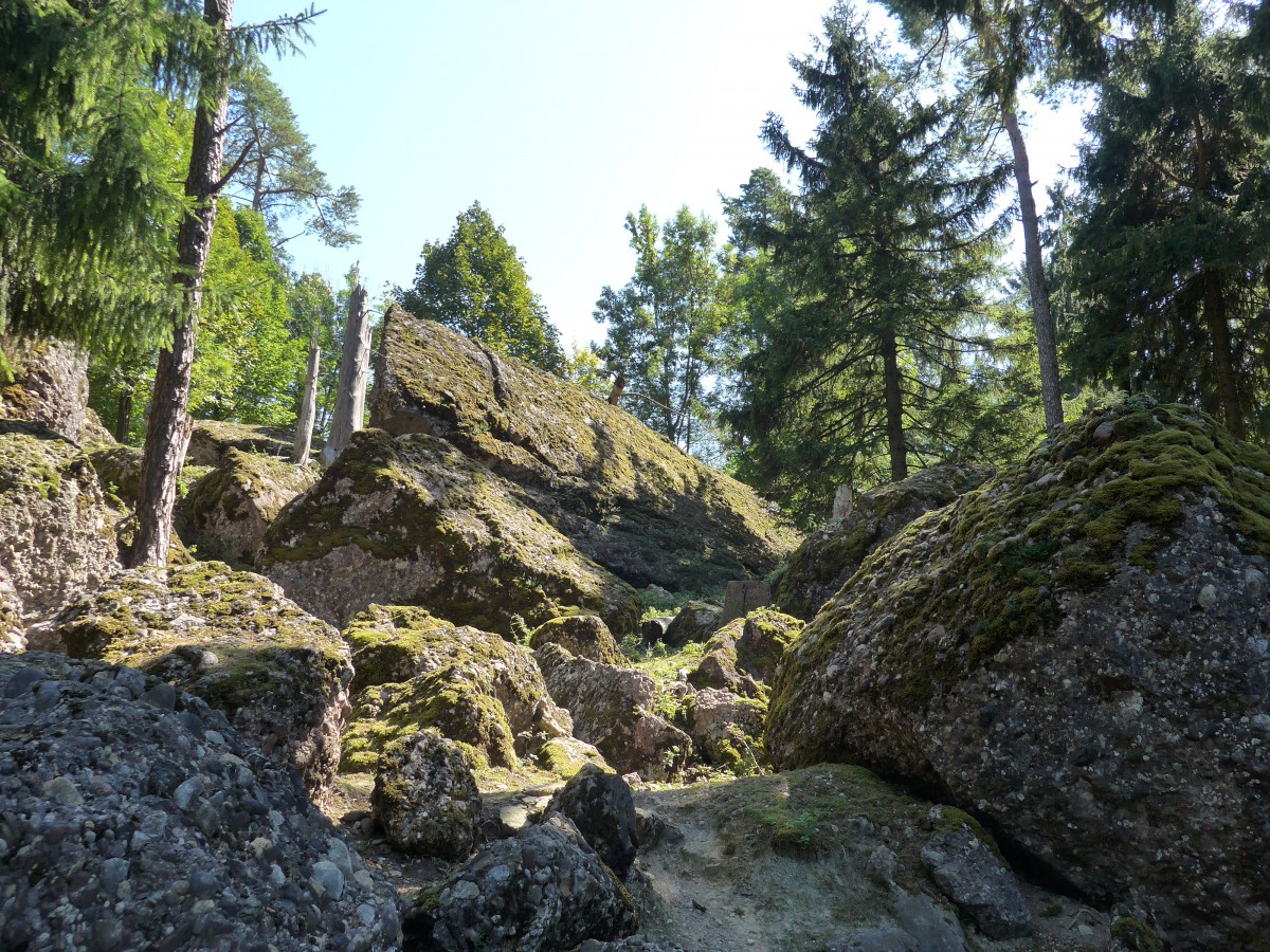 (164'317) - Zeichen des Felssturzes von 1806 in Goldau am 31. August 2015
