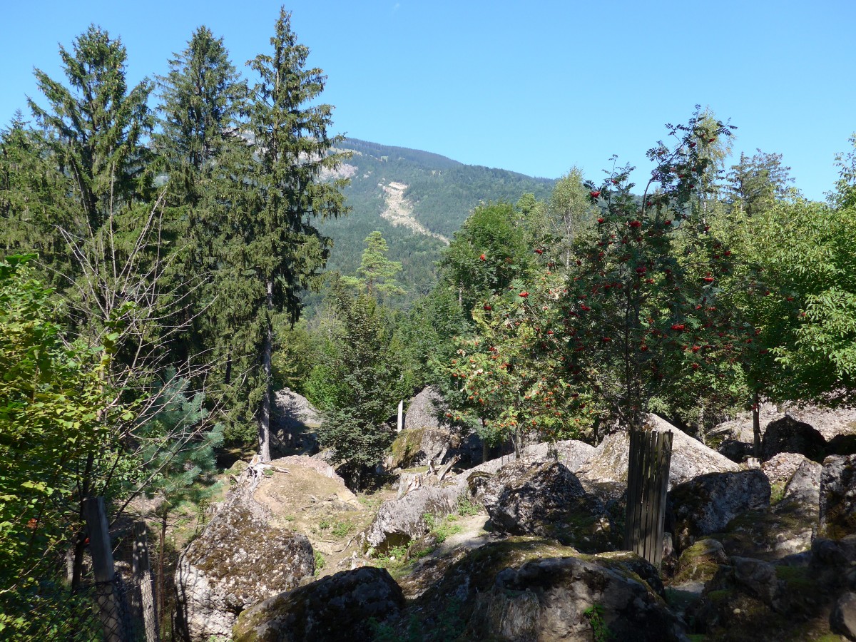 (164'326) - Zeichen des Felssturzes von 1806 in Goldau am 31. August 2015