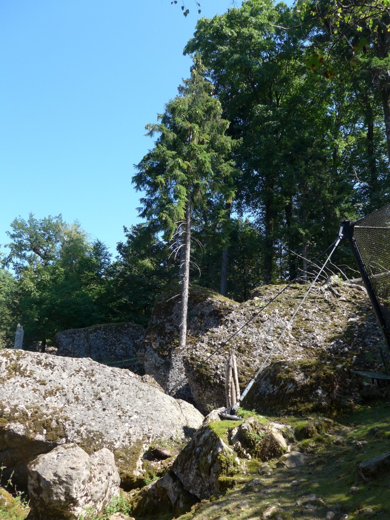 (164'327) - Zeichen des Felssturzes von 1806 in Goldau am 31. August 2015