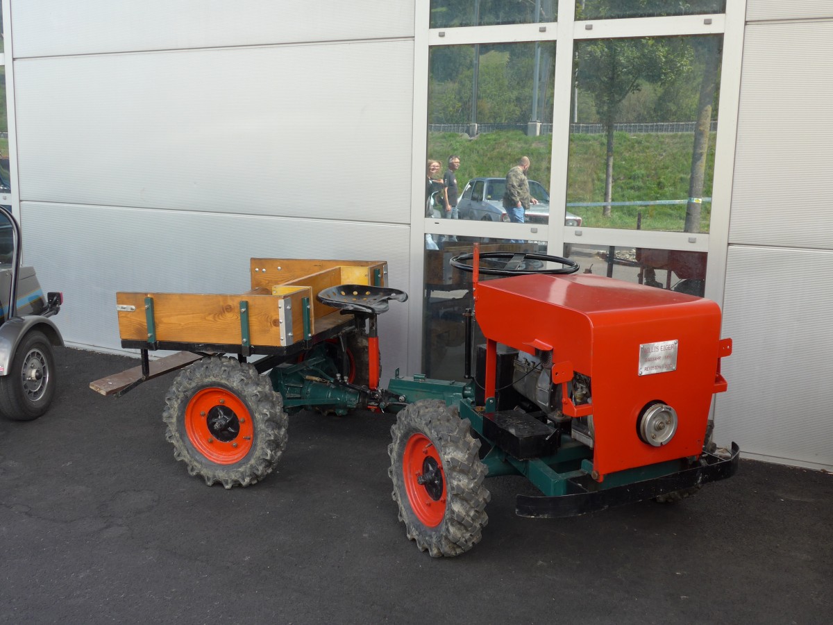 (164'494) - Eiger - am 6. September 2015 in Reichenbach