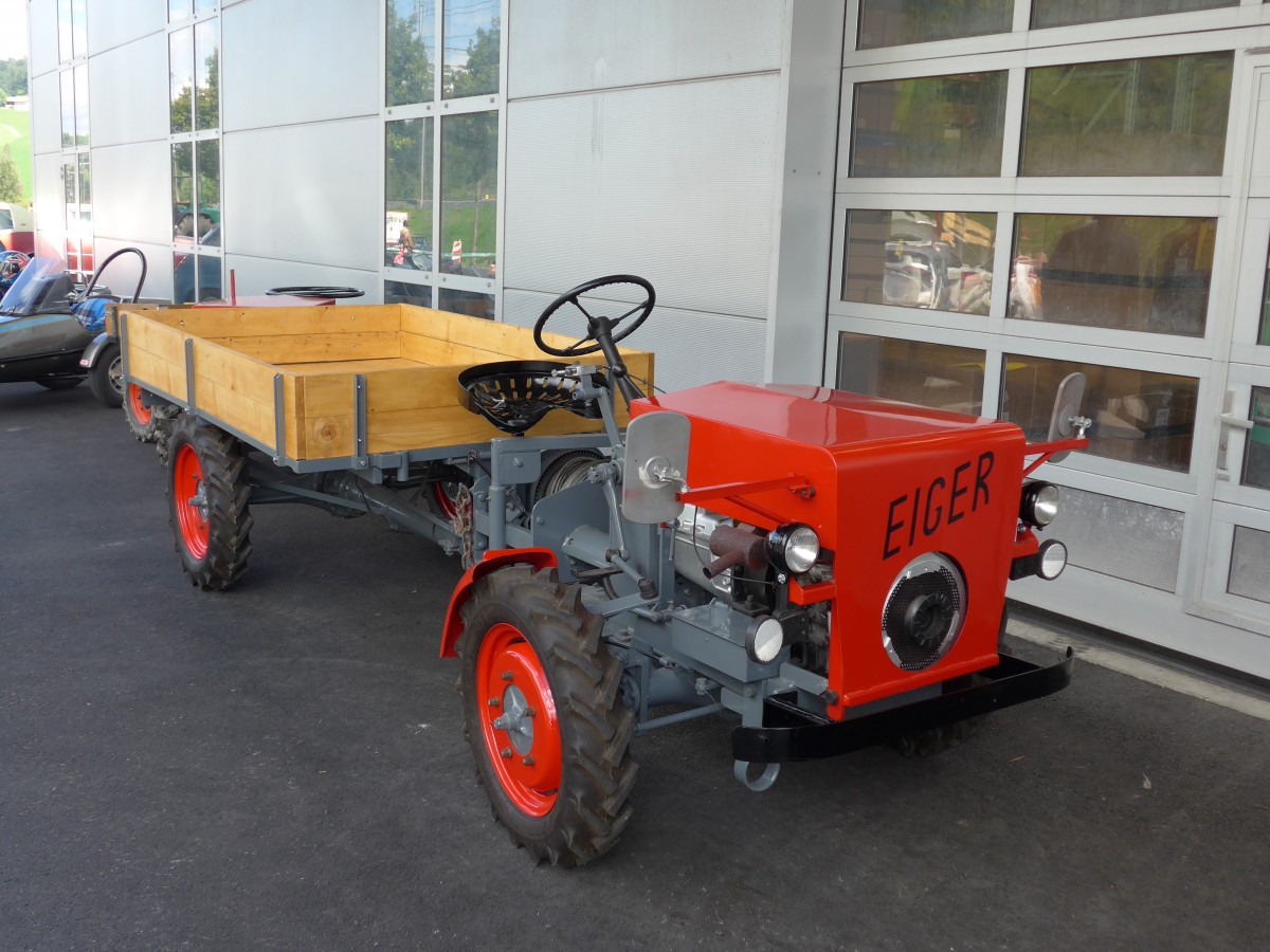 (164'496) - Eiger - am 6. September 2015 in Reichenbach