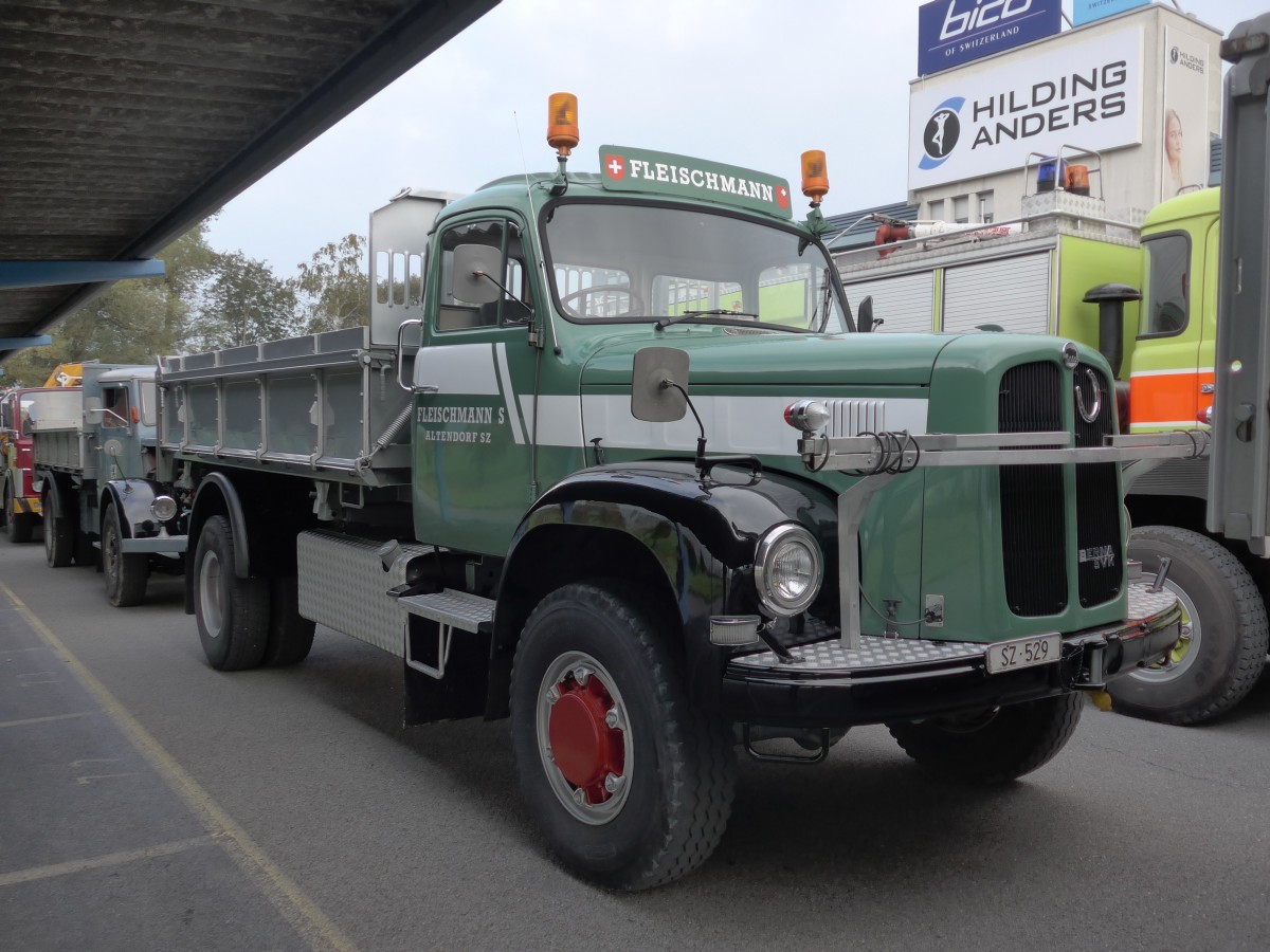 (166'075) - Fleischmann, Altendorf - SZ 529 - Berna am 10. Oktober 2015 in Sch�nis, Bicoareal