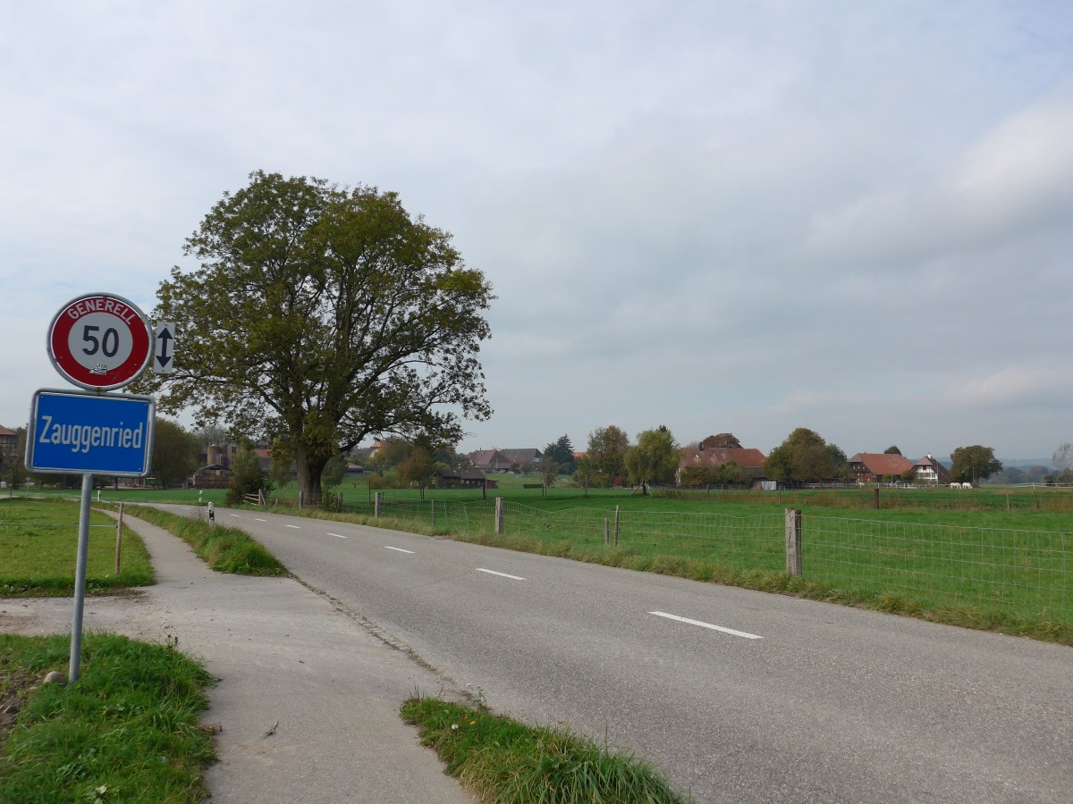 (166'230) - Zauggenried am 12. Oktober 2015