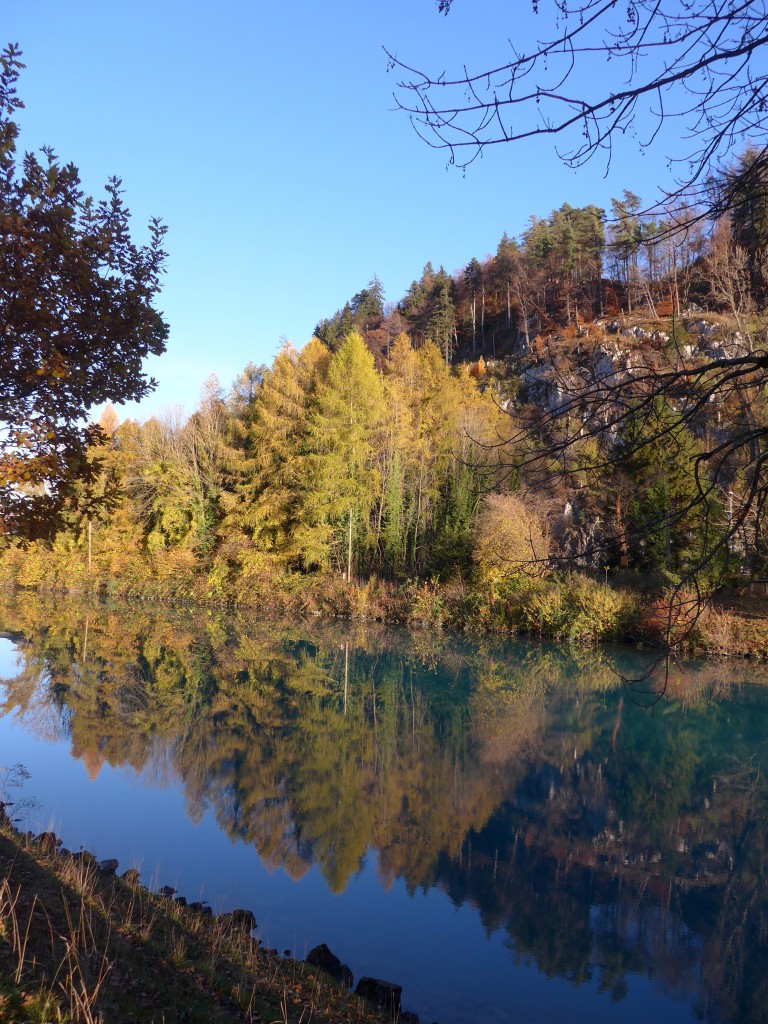 (166'595) - Herbststimmung an der Aare am 8. November 2015 bei Unterseen/Interlaken