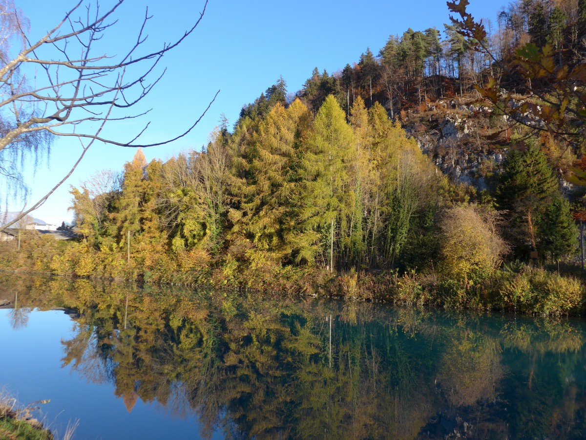 (166'596) - Herbststimmung an der Aare am 8. November 2015 bei Unterseen/Interlaken