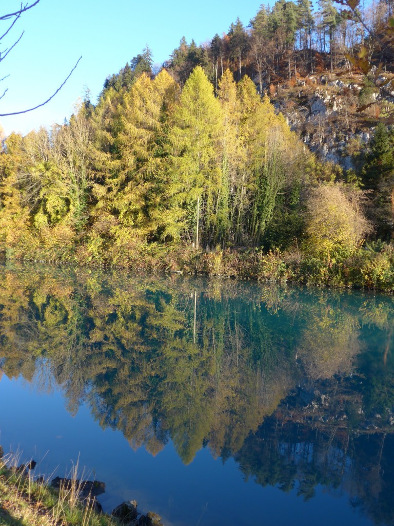 (166'597) - Herbststimmung an der Aare am 8. November 2015 bei Unterseen/Interlaken