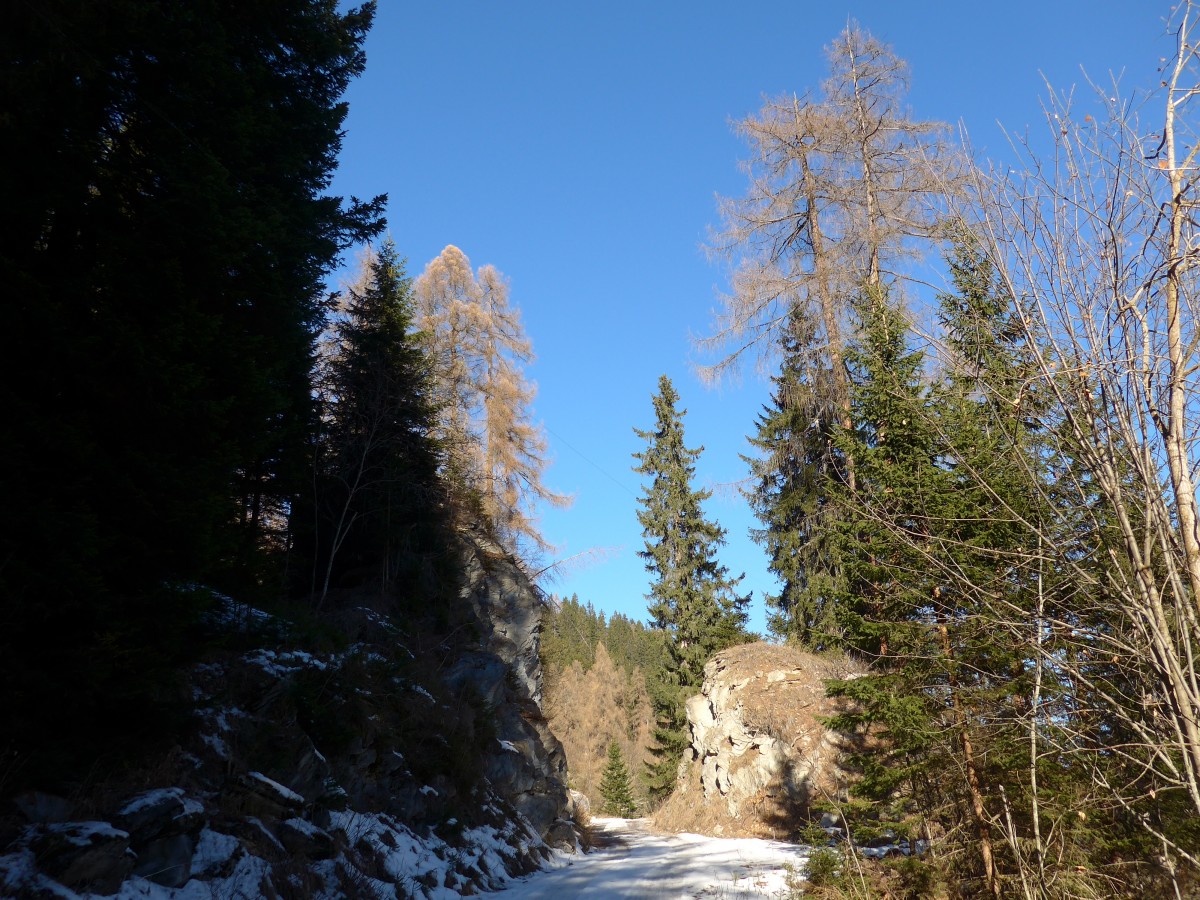 (167'637) - Waldstr�sschen bei Tenna am 5. Dezember 2015