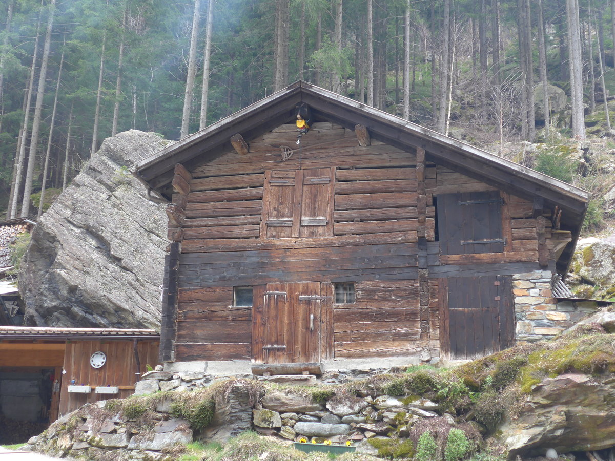 (169'448) - Alter Schober am 25. M�rz 2016 in Bristen