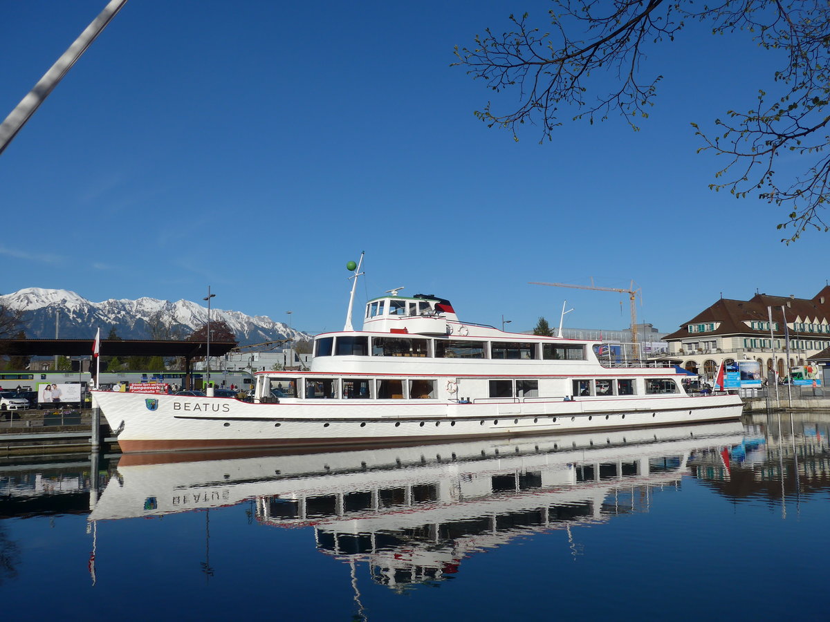 (170'184) - Motorschiff Beatus am 20. April 2016 an der Schiffl�ndte Thun