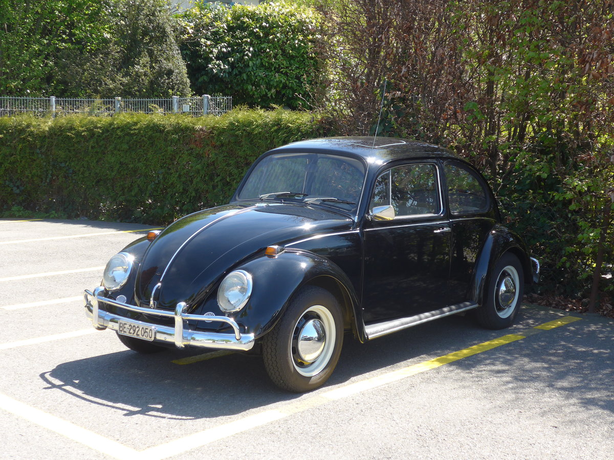 (170'378) - VW-K�fer - BE 292'050 - am 6. Mai 2016 bei der Schiffl�ndte Thun