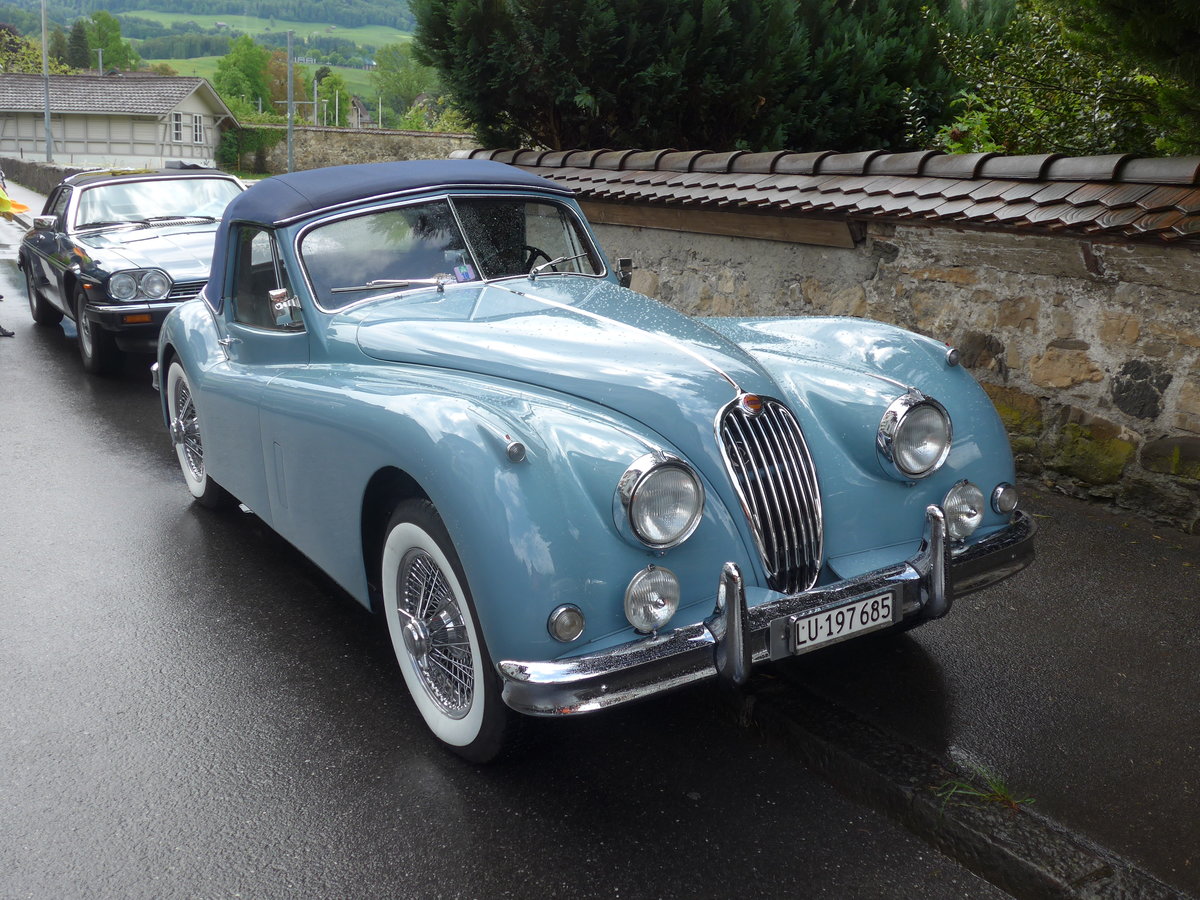 (170'722) - Jaguar - LU 197'685 - am 14. Mai 2016 in Sarnen, OiO