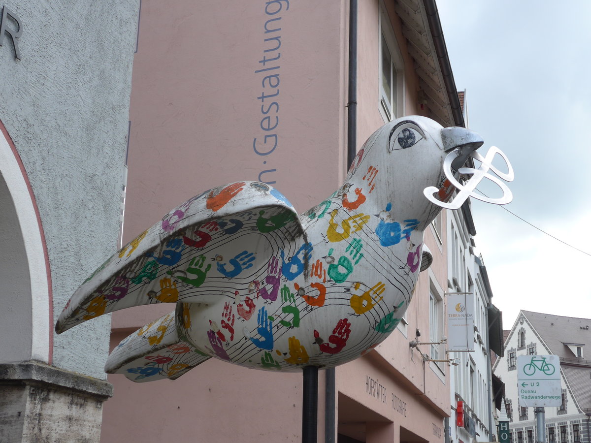 (171'023) - Musiktaube am 19. Mai 2016 in Ulm