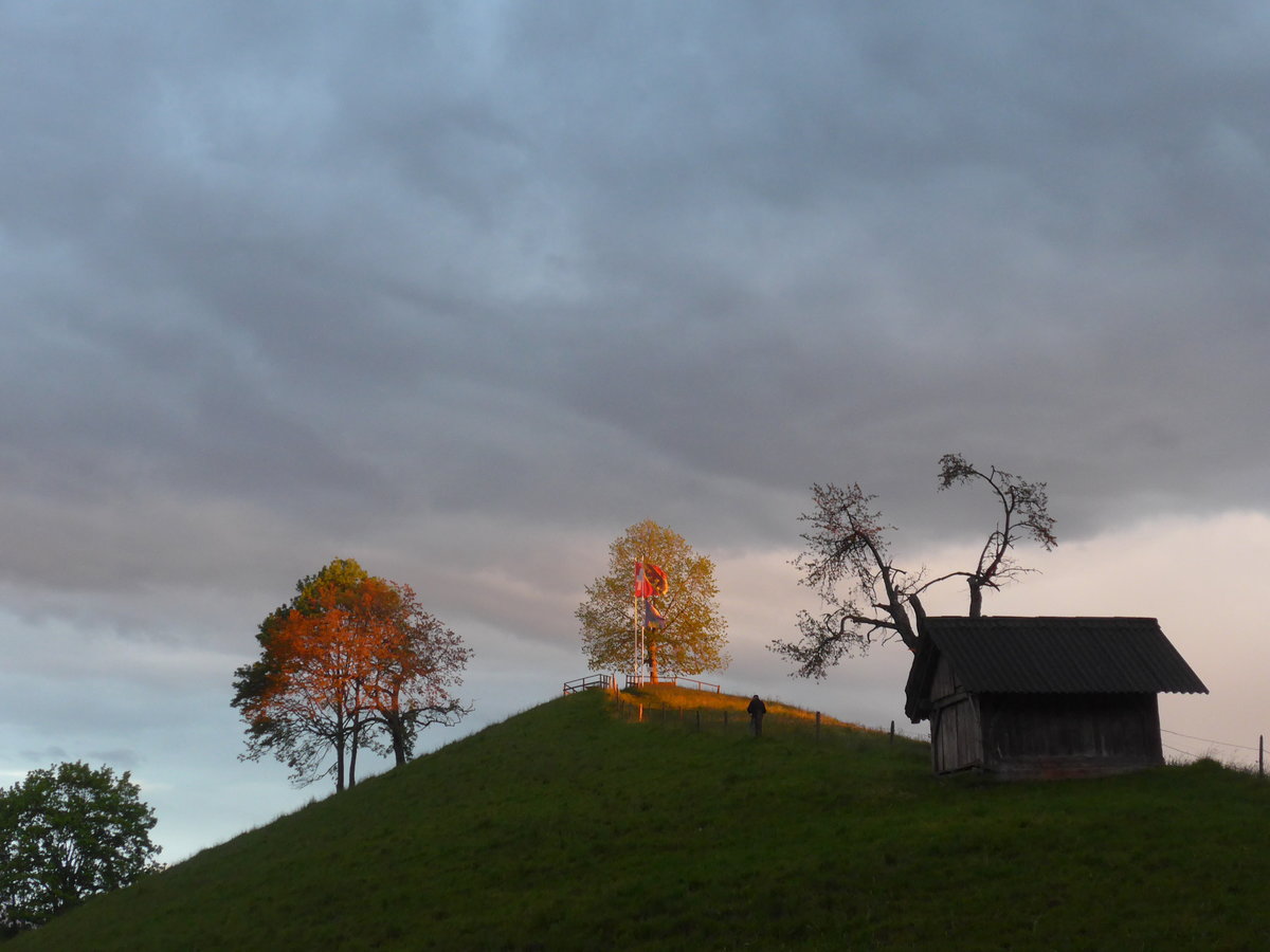 (171'415) - Abendsonne am 25. Mai 2016 in Heiligenschwendi