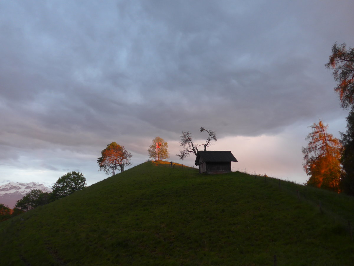 (171'416) - Abendsonne am 25. Mai 2016 in Heiligenschwendi