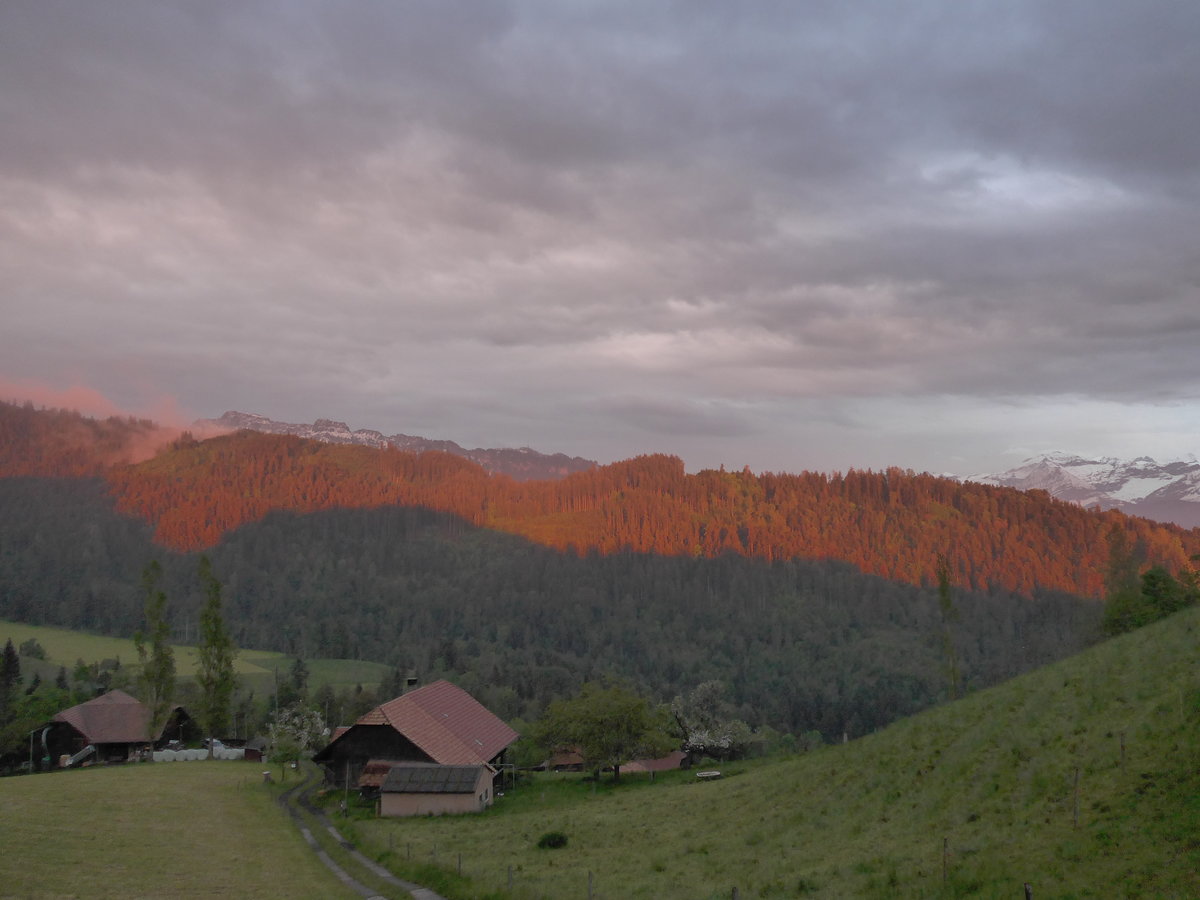 (171'417) - Abendsonne am 25. Mai 2016 in Heiligenschwendi