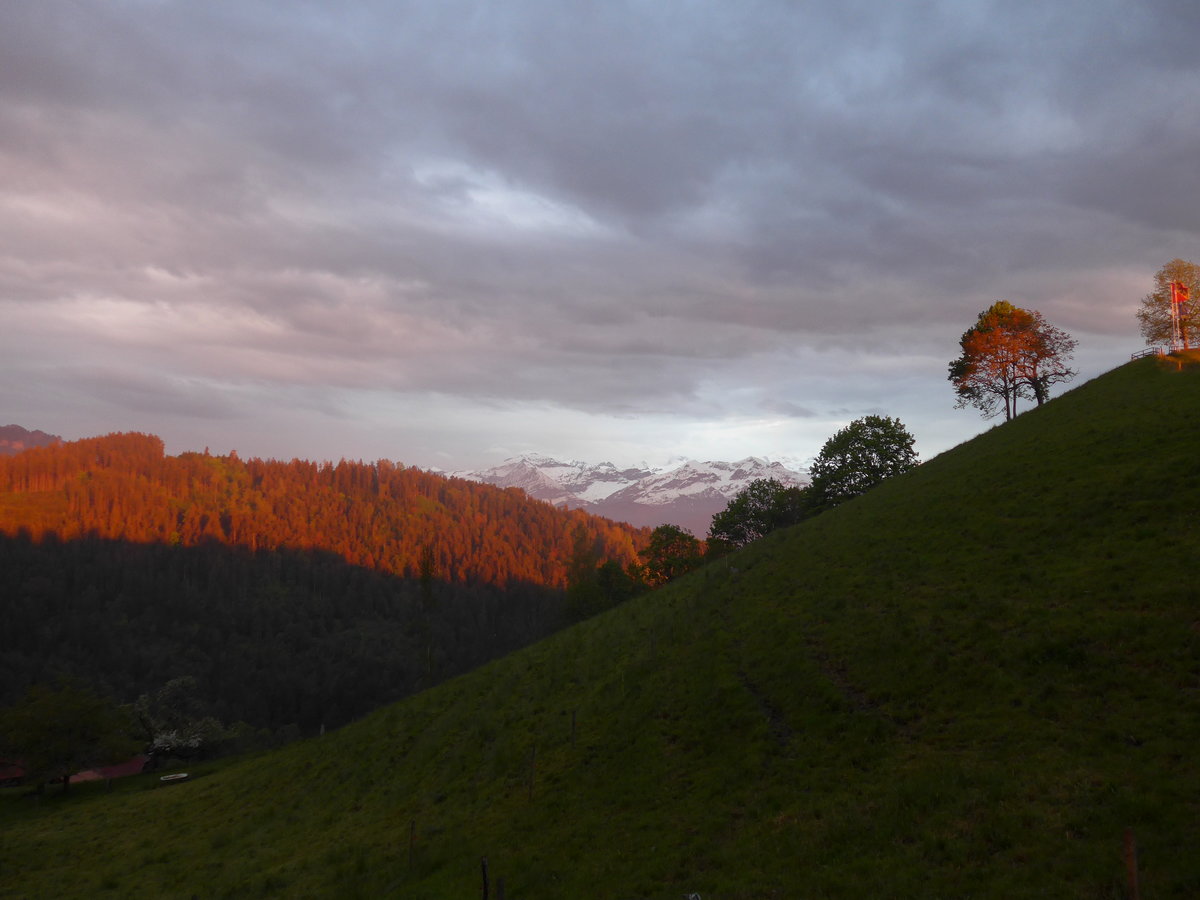 (171'418) - Abendsonne am 25. Mai 2016 in Heiligenschwendi