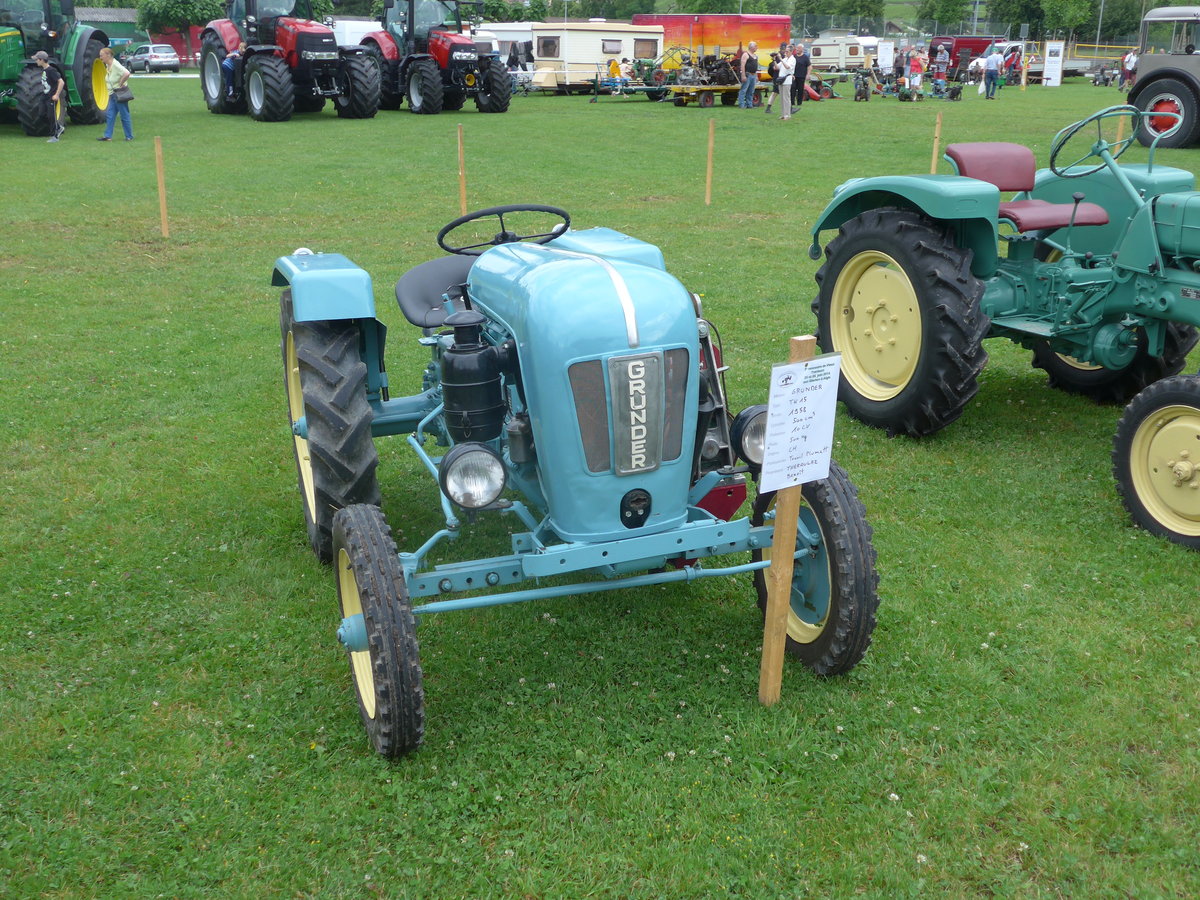 (172'068) - Grunder - am 25. Juni 2016 in Aigle, Saurertreffen