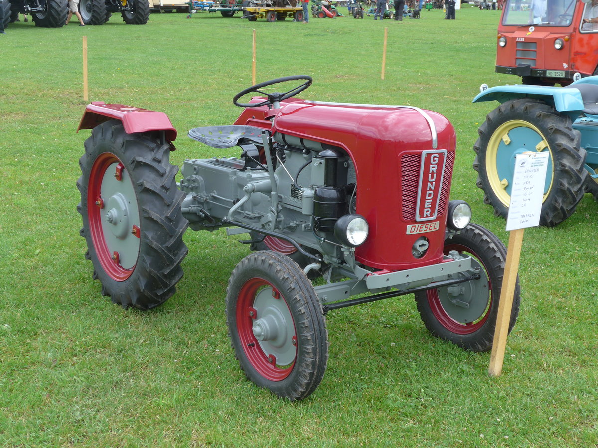 (172'074) - Grunder - am 25. Juni 2016 in Aigle, Saurertreffen