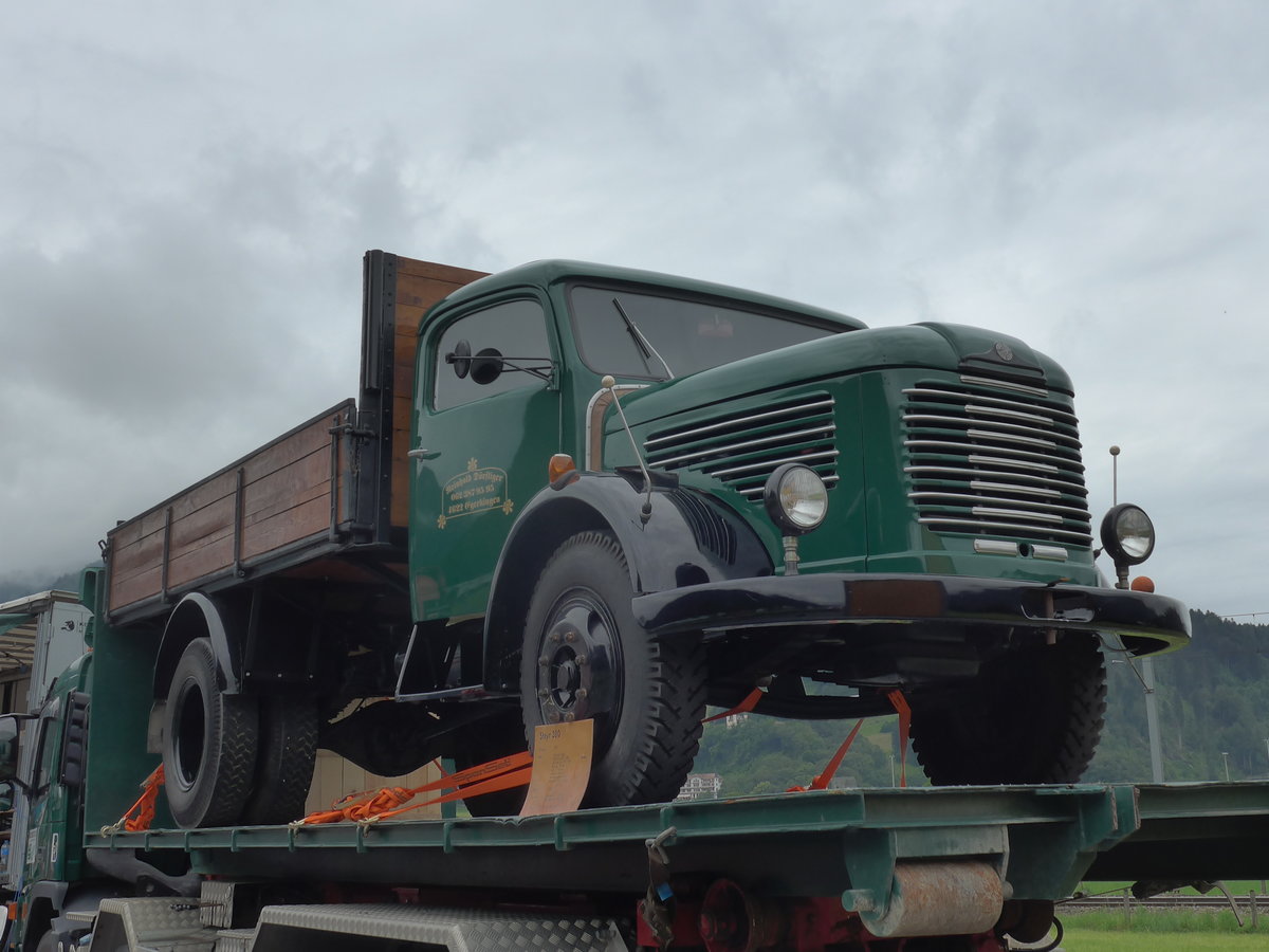 (172'492) - D�rfliger, Egerkingen - Steyr am 26. Juni 2016 in Interlaken, Flugplatz