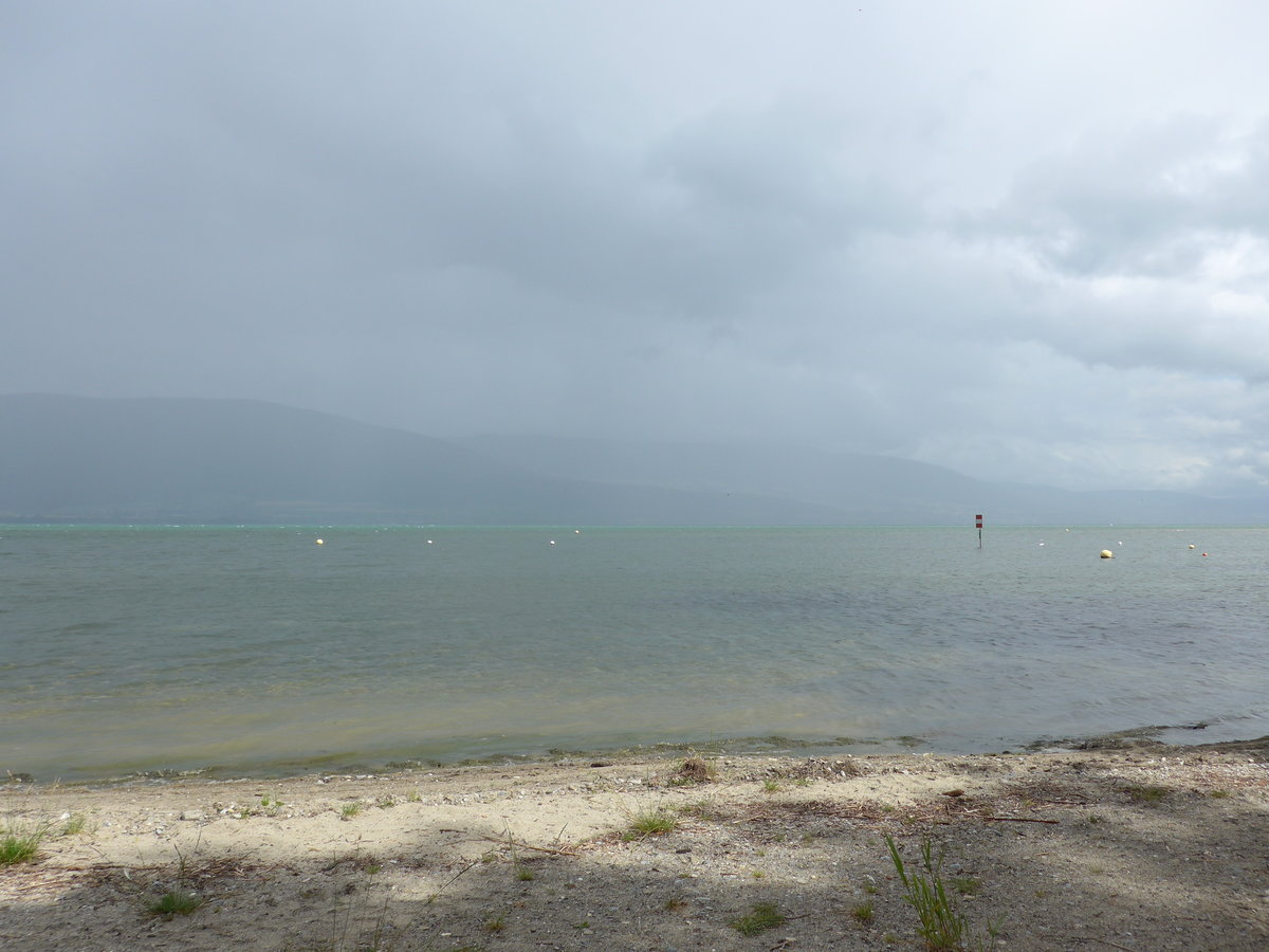 (172'891) - Am Neuenburgersee am 13. Juli 2016 bei Yvonand