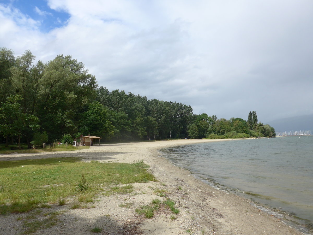 (172'894) - Am Neuenburgersee am 13. Juli 2016 bei Yvonand