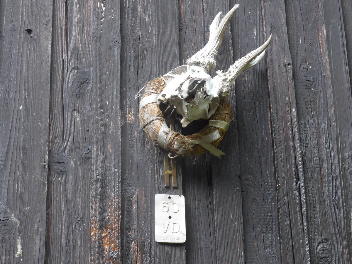 (172'897) - Velonummer aus dem Kt. Waadt - 60 VD - am 13. Juli 2016 in Yvonand