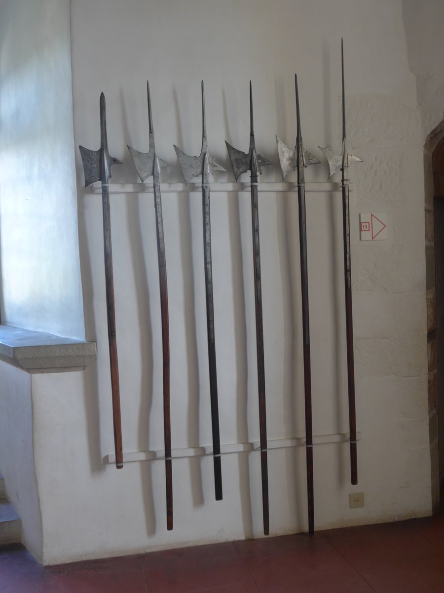 (172'917) - Helebarden am 13. Juli 2016 im Schloss Grandson