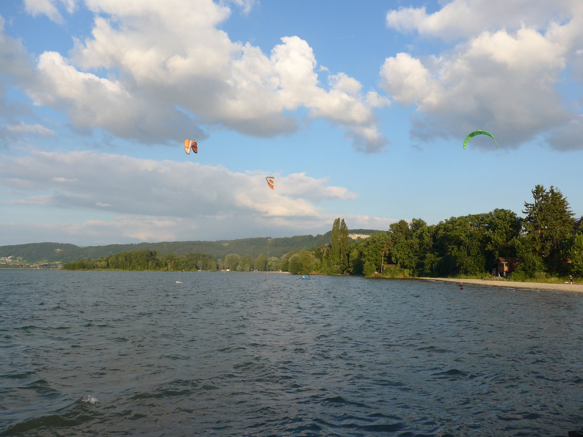 (173'052) - Gleitschirmsurfer am 15. Juli 2016 im Hafen von Yvonand