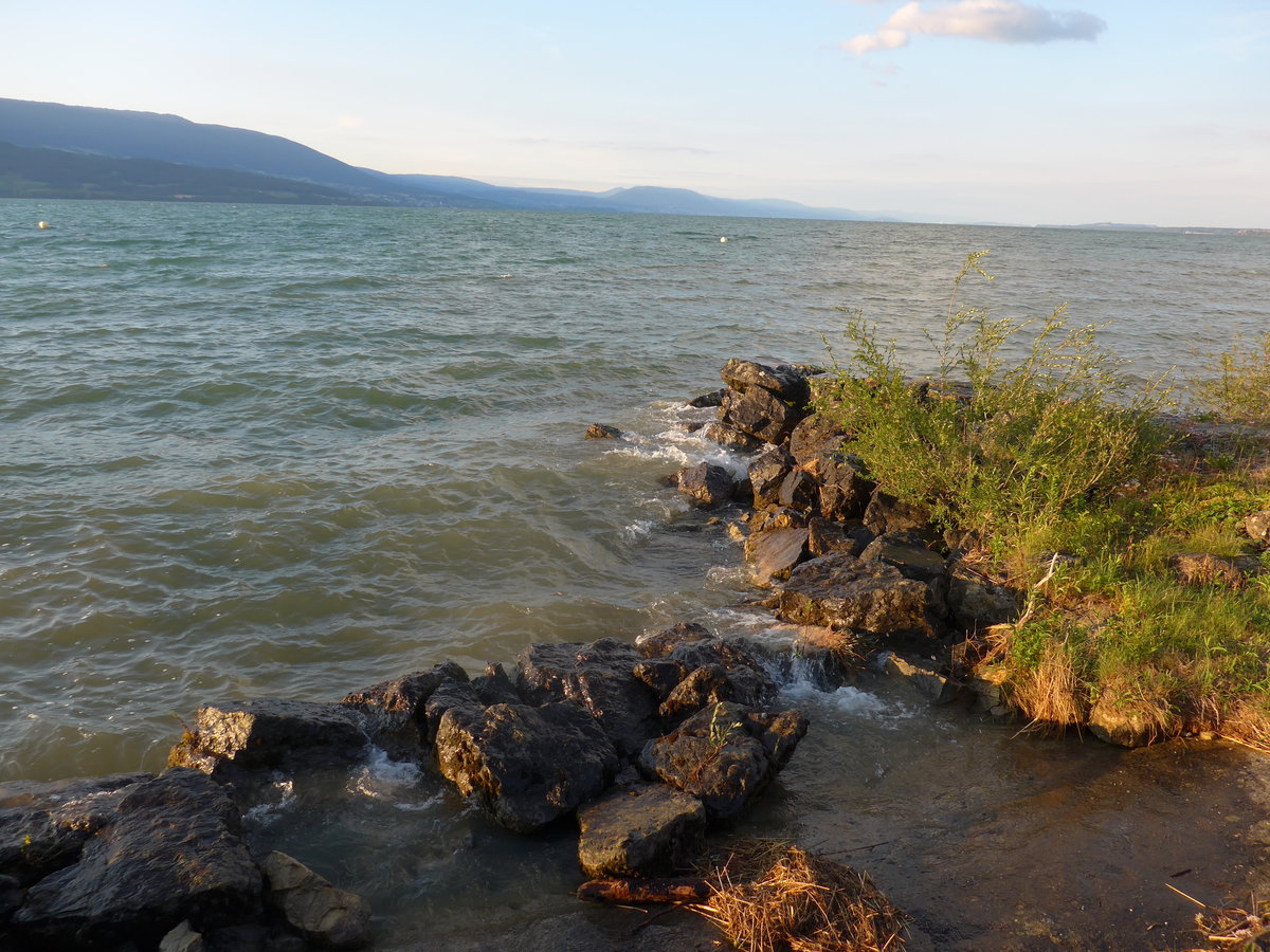 (173'058) - Abendstimmung am Neuenburgersee am 15. Juli 2016 bei Yvonand