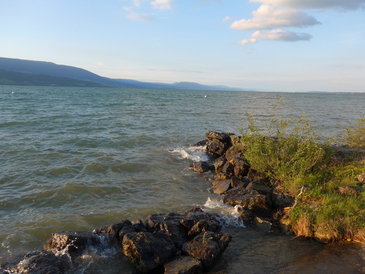 (173'059) - Abendstimmung am Neuenburgersee am 15. Juli 2016 bei Yvonand