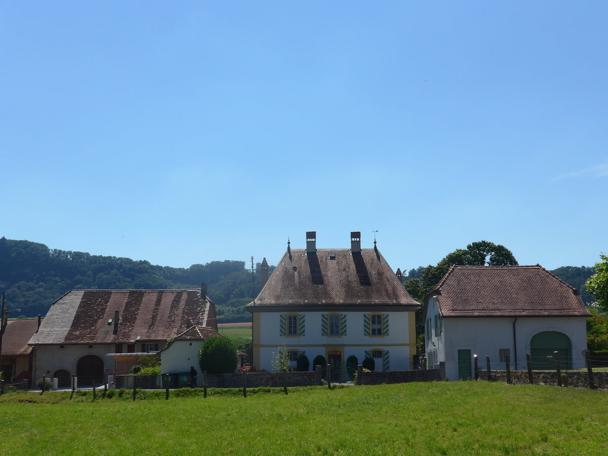 (173'085) - Alte H�user am 16. Juli 2016 in Yvonand