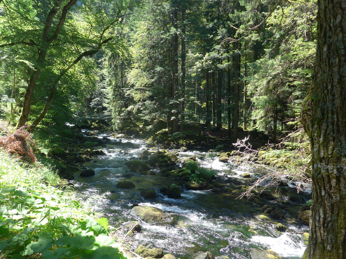 (173'161) - Bach bei den Grotten von Vallorbe am 20. Juli 2016