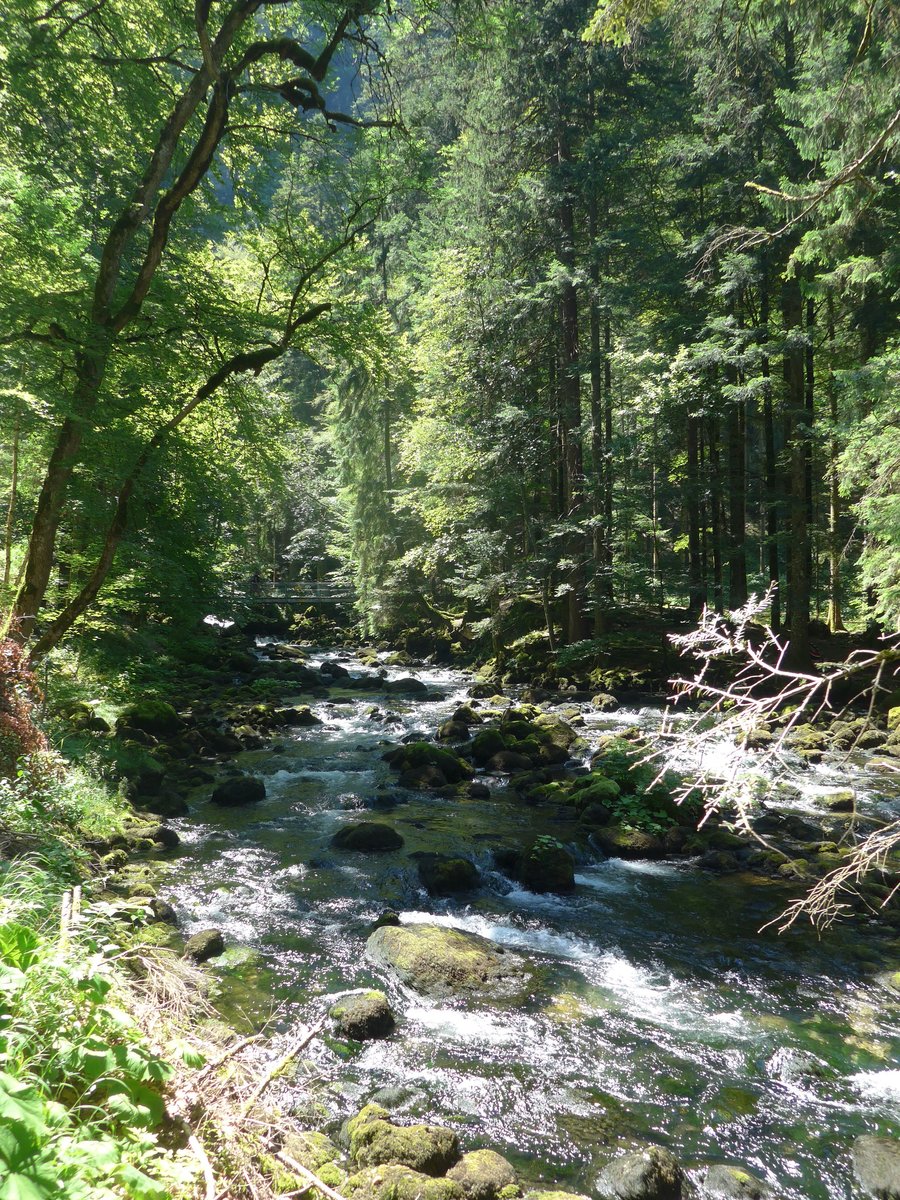 (173'162) - Bach bei den Grotten von Vallorbe am 20. Juli 2016