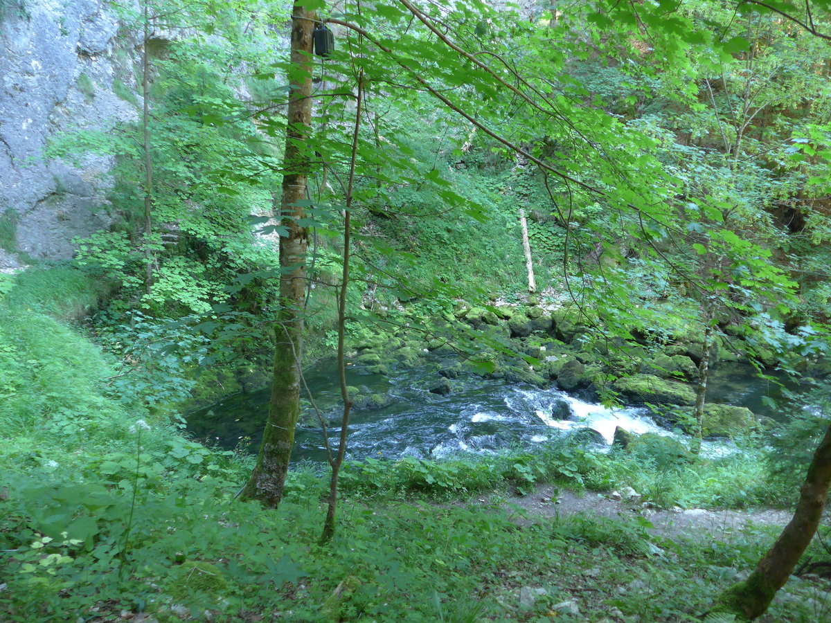 (173'164) - Der Bach kommt aus dem Felsen am 20. Juli 2016 bei Vallorbe