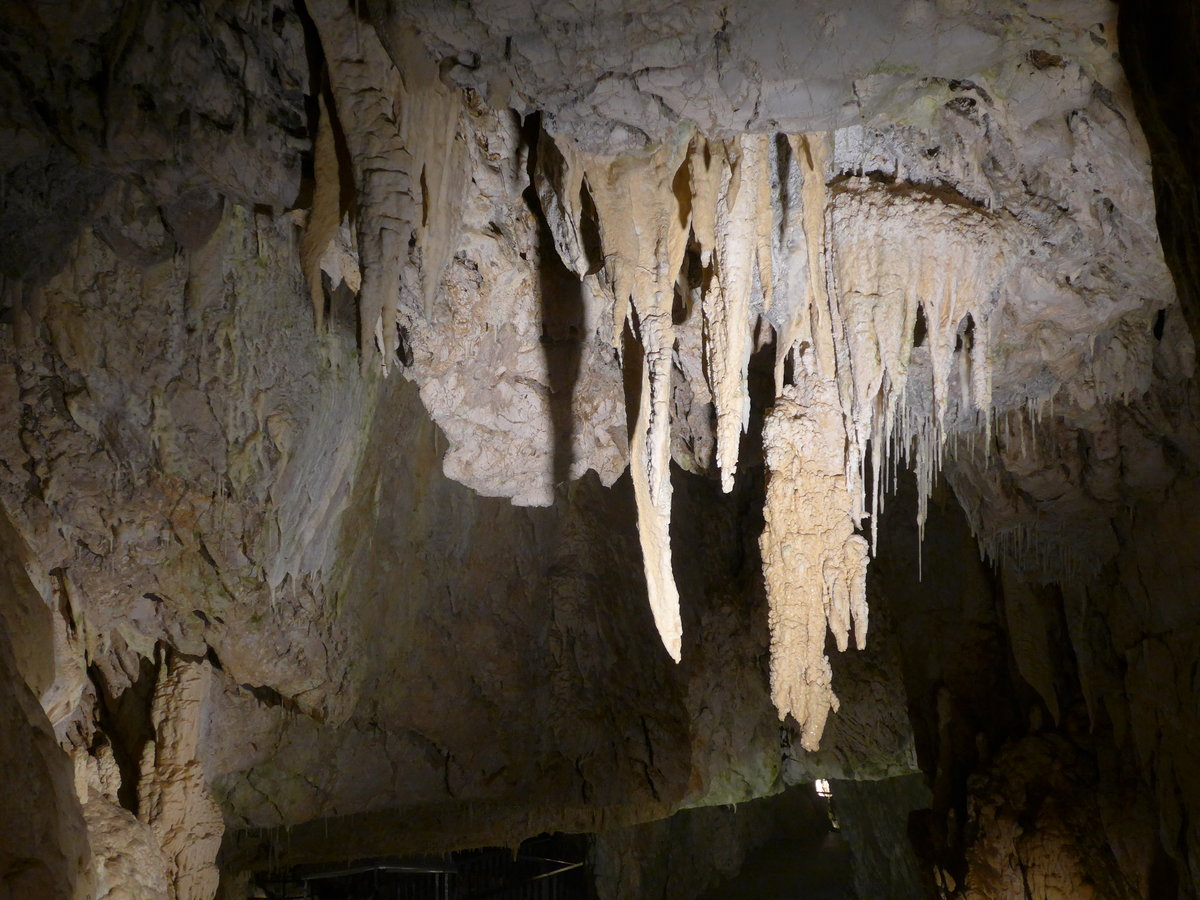 (173'186) - Impression am 20. Juli 2016 in den Grotten von Vallorbe