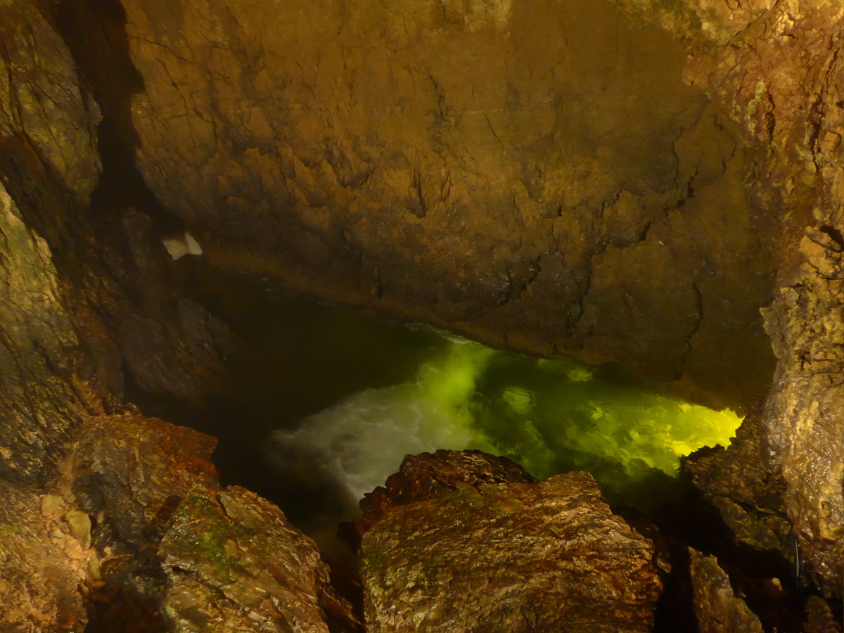 (173'187) - Impression am 20. Juli 2016 in den Grotten von Vallorbe