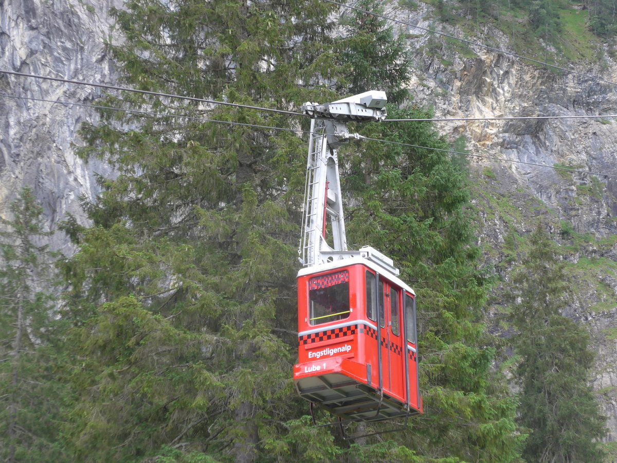 (173'418) - Luftseilbahn Unter dem Birg Engstligenalp - Lube 1 - am 31. Juli 2016 in Adelboden, Unter dem Birg