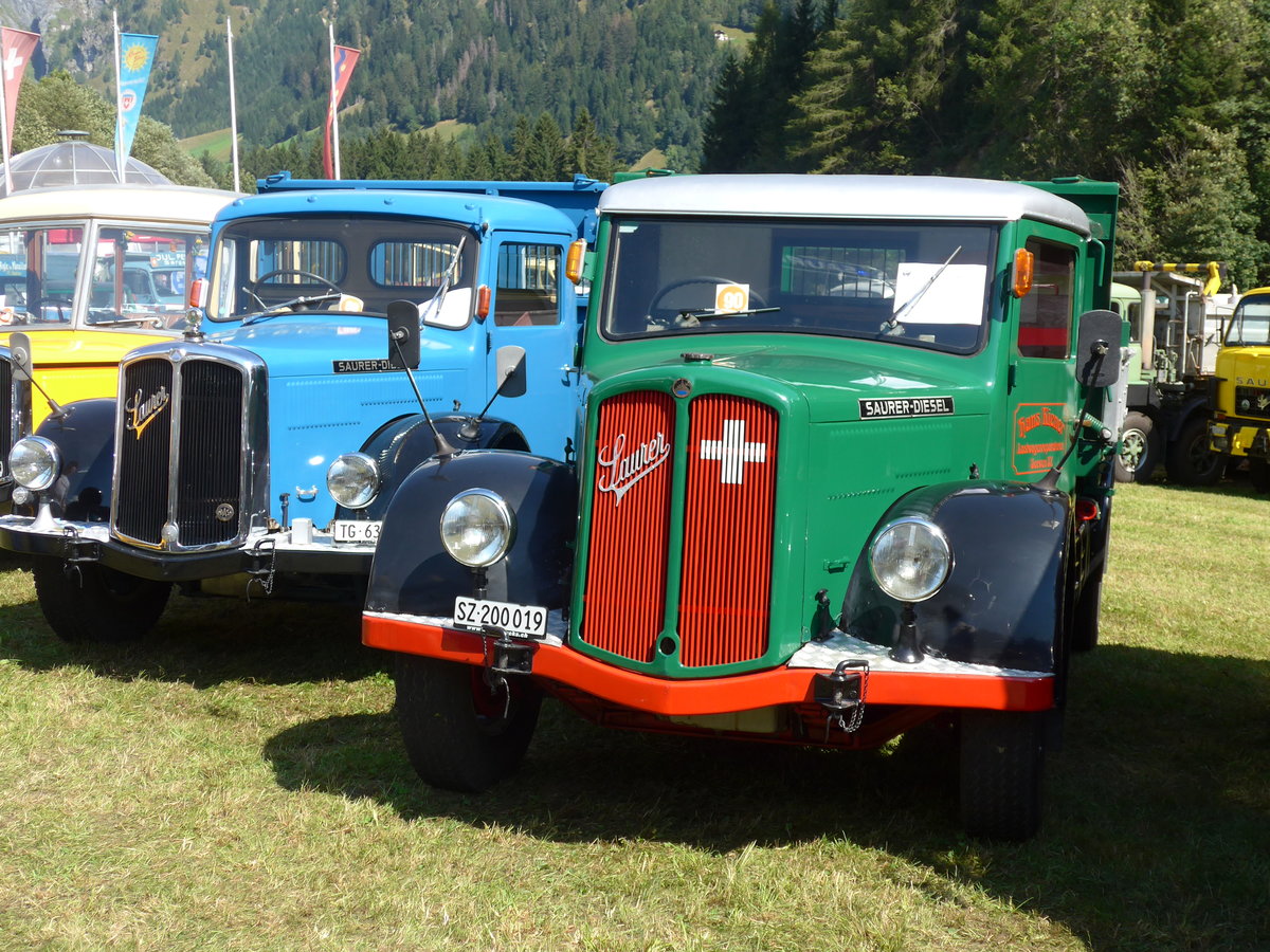 (174'729) - Kiener, Seewen - SZ 200'019 - Saurer am 10. September 2016 in Campo, Saurertreffen