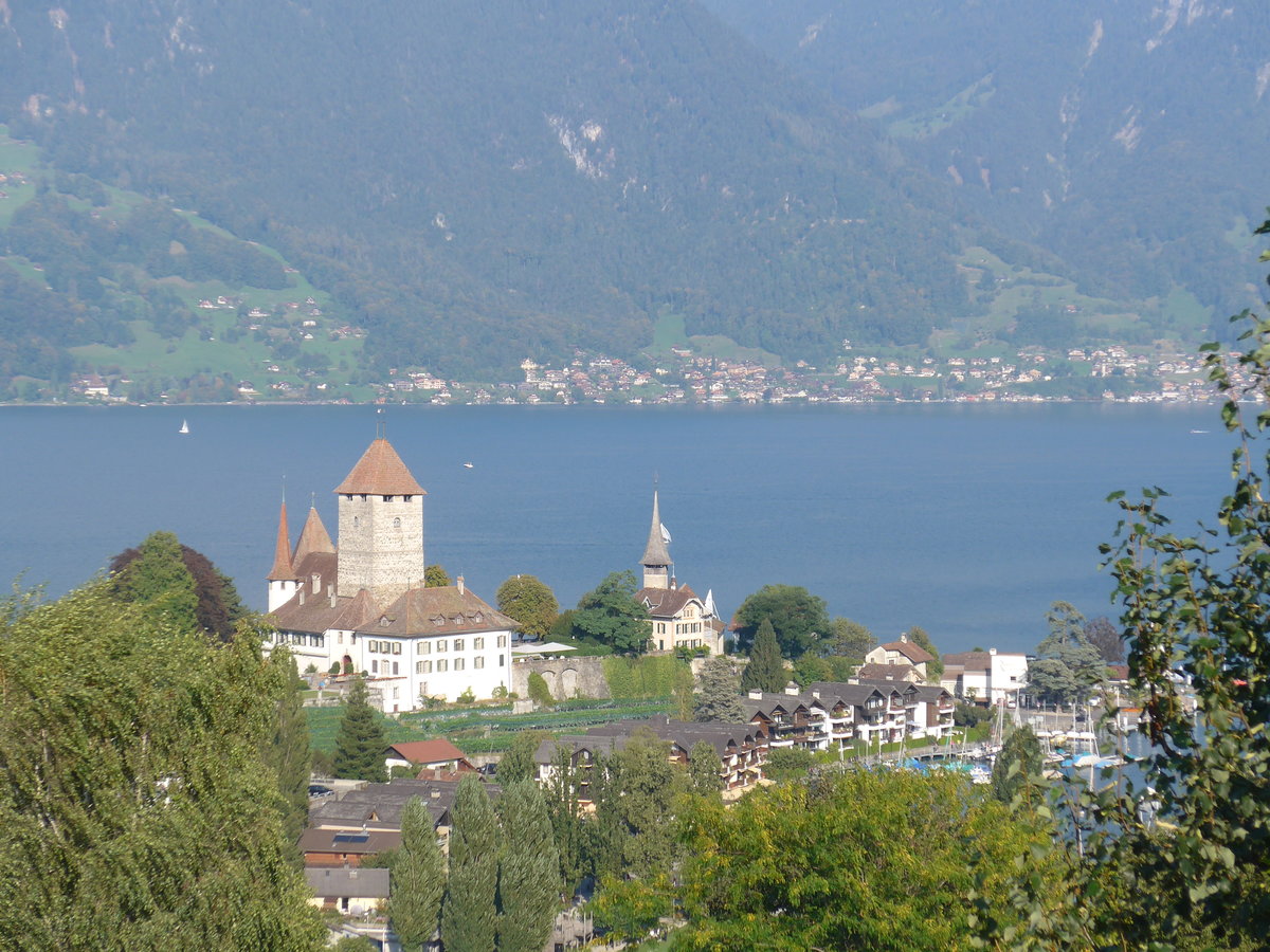 (175'159) - Das Schloss Spiez am 24. September 2016 mit dem Thunersee
