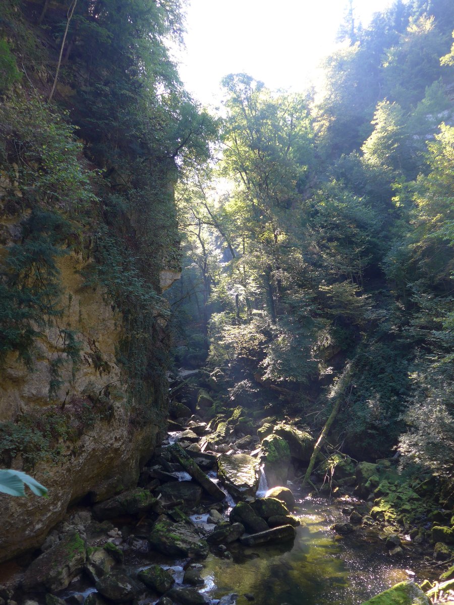 (175'196) - In der Areuse-Schlucht am 25. September 2016 bei Boudry